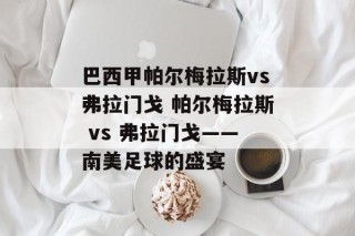 巴西甲帕尔梅拉斯vs弗拉门戈 帕尔梅拉斯 vs 弗拉门戈——南美足球的盛宴