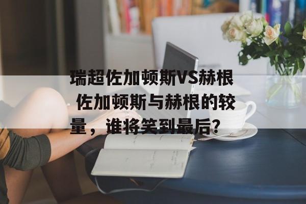 瑞超佐加顿斯VS赫根 佐加顿斯与赫根的较量，谁将笑到最后？  第1张
